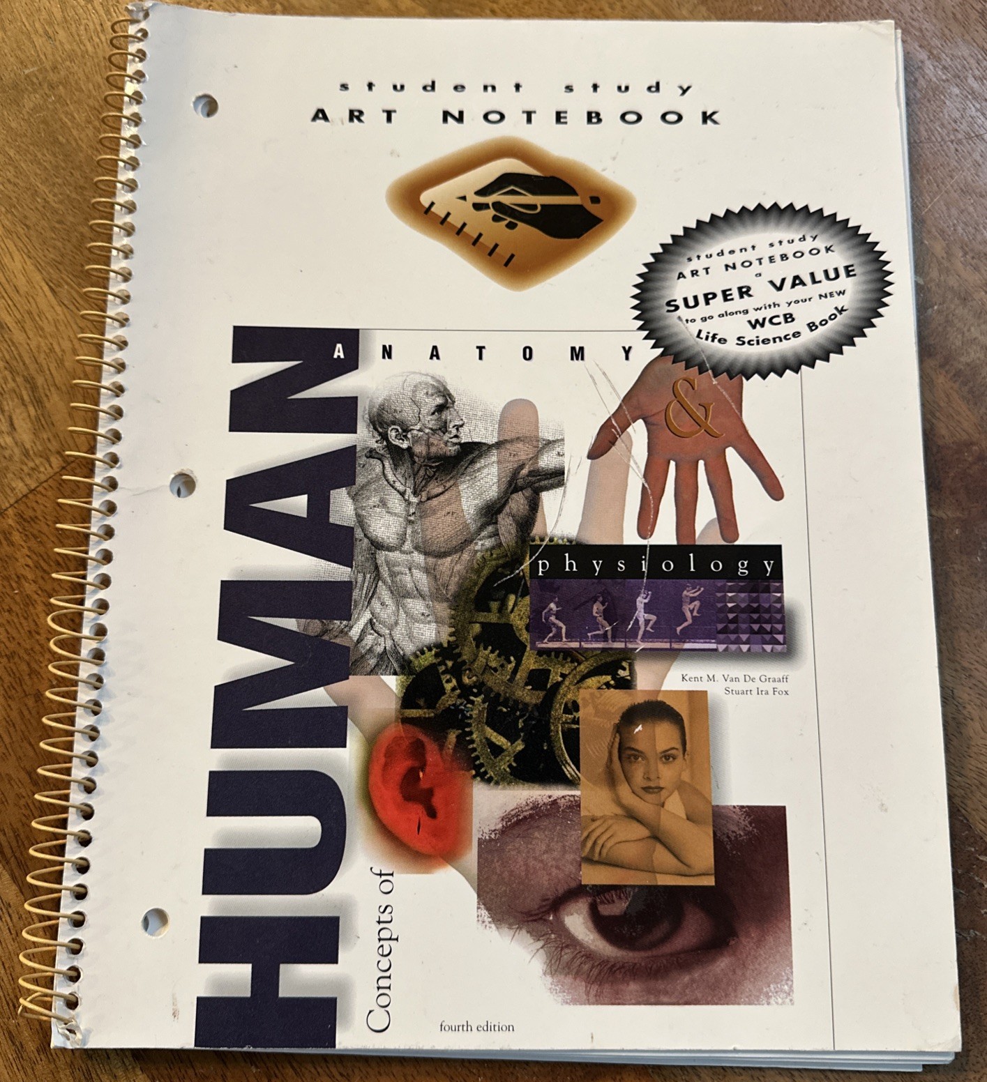 Student Study Art Notebook Concepts of Human Anatomy & Physiology Spiral PB Book