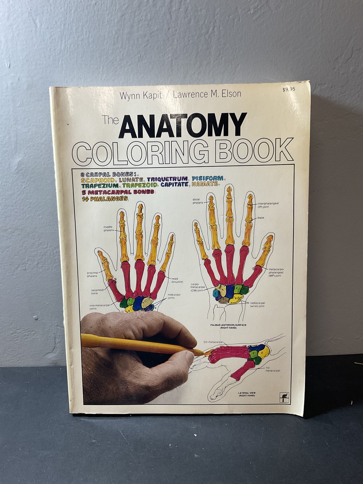 The Anatomy Coloring Book by Wynn Kapit & Lawrence M. Elson 1977 Harper & Row