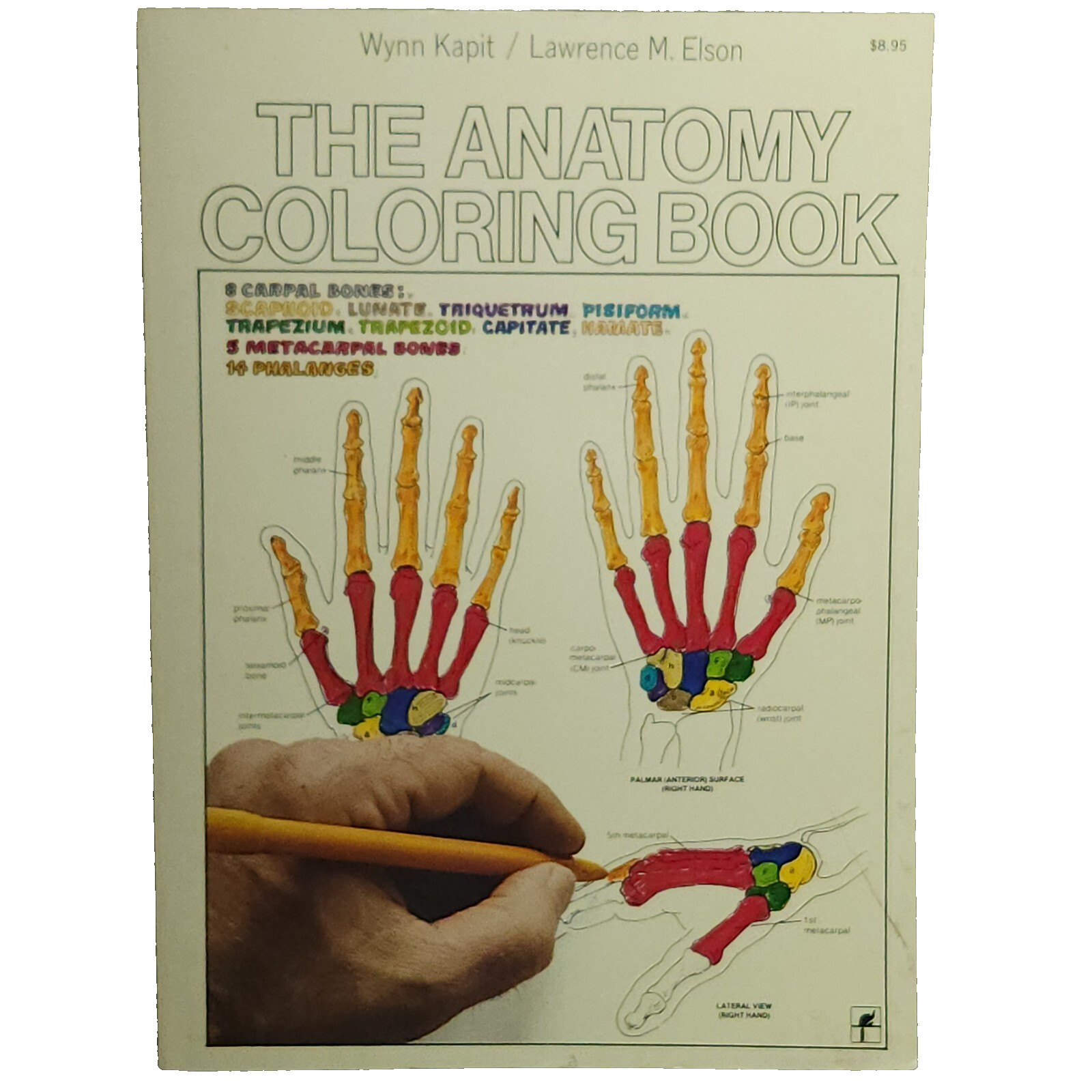 The Anatomy Coloring Book Wynn Kapit Lawrence Elson Study Guide Paperback 1997