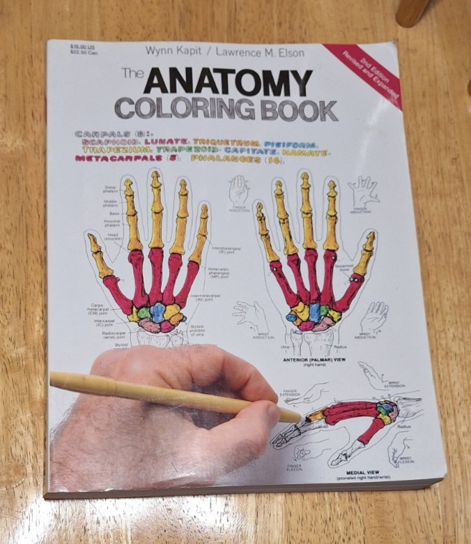 The Anatomy Coloring Book (2nd Edition), Kapit, Wynn; Elson, Lawrence M., Used;