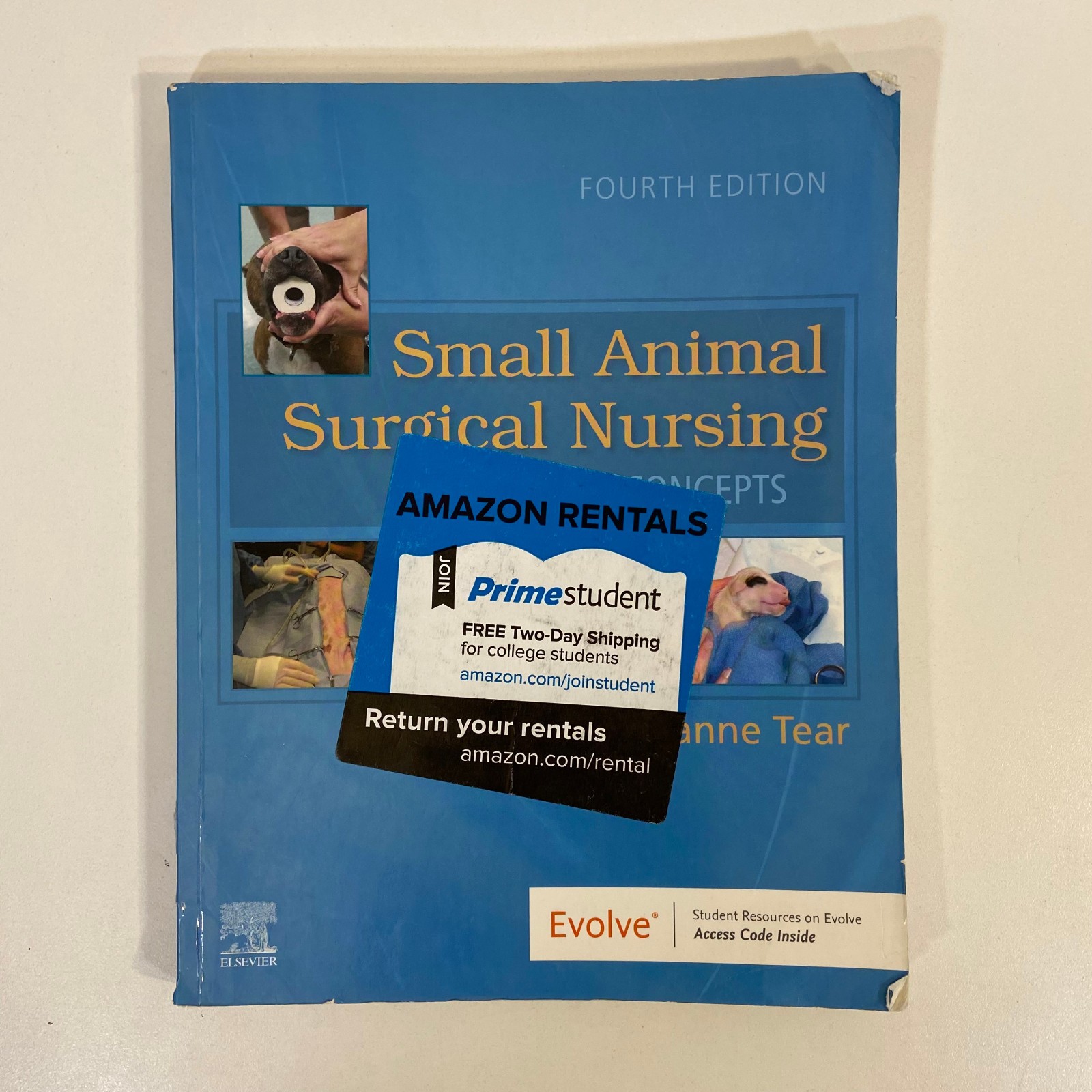Small Animal Surgical Nursing Fourth Edition Skills Concepts Marianne Tear TPB