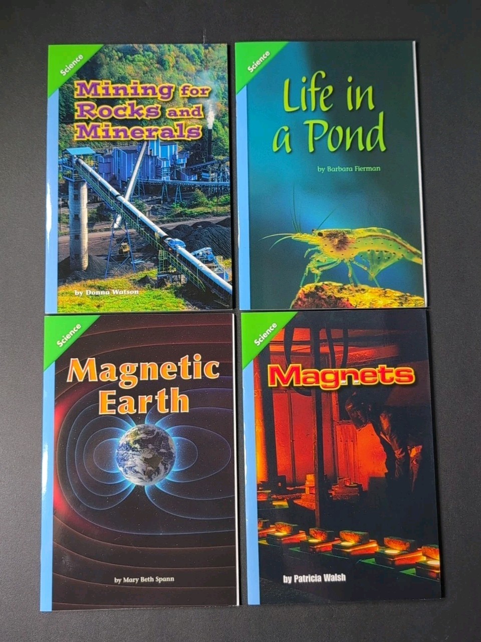 Lot Of 31 Pearson Interactive Science 4 Books- Very Good Learning School