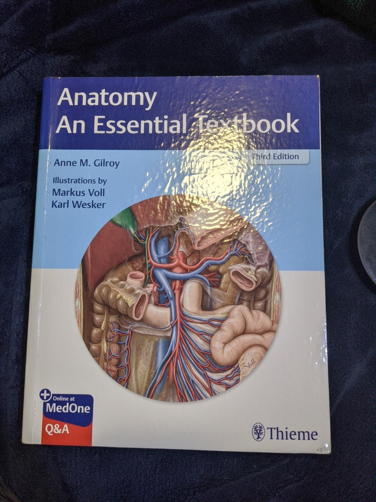 Thieme Illustrated Reviews Ser.: Anatomy – an Essential Textbook.