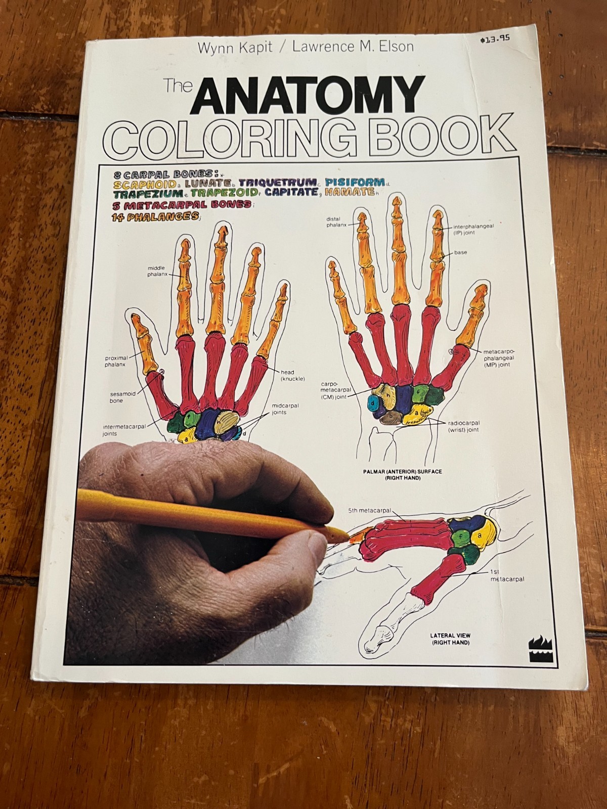The Anatomy Coloring Book – Paperback By Kapit, Wynn – GOOD