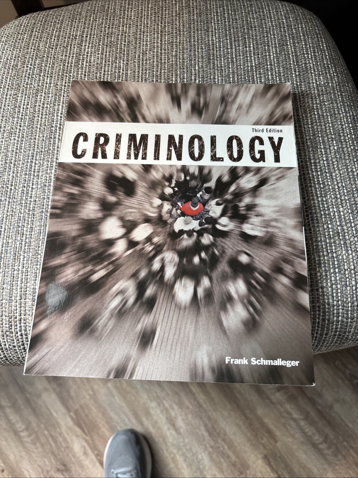 Criminology by Frank J. Schmalleger (2012, Trade Paperback)