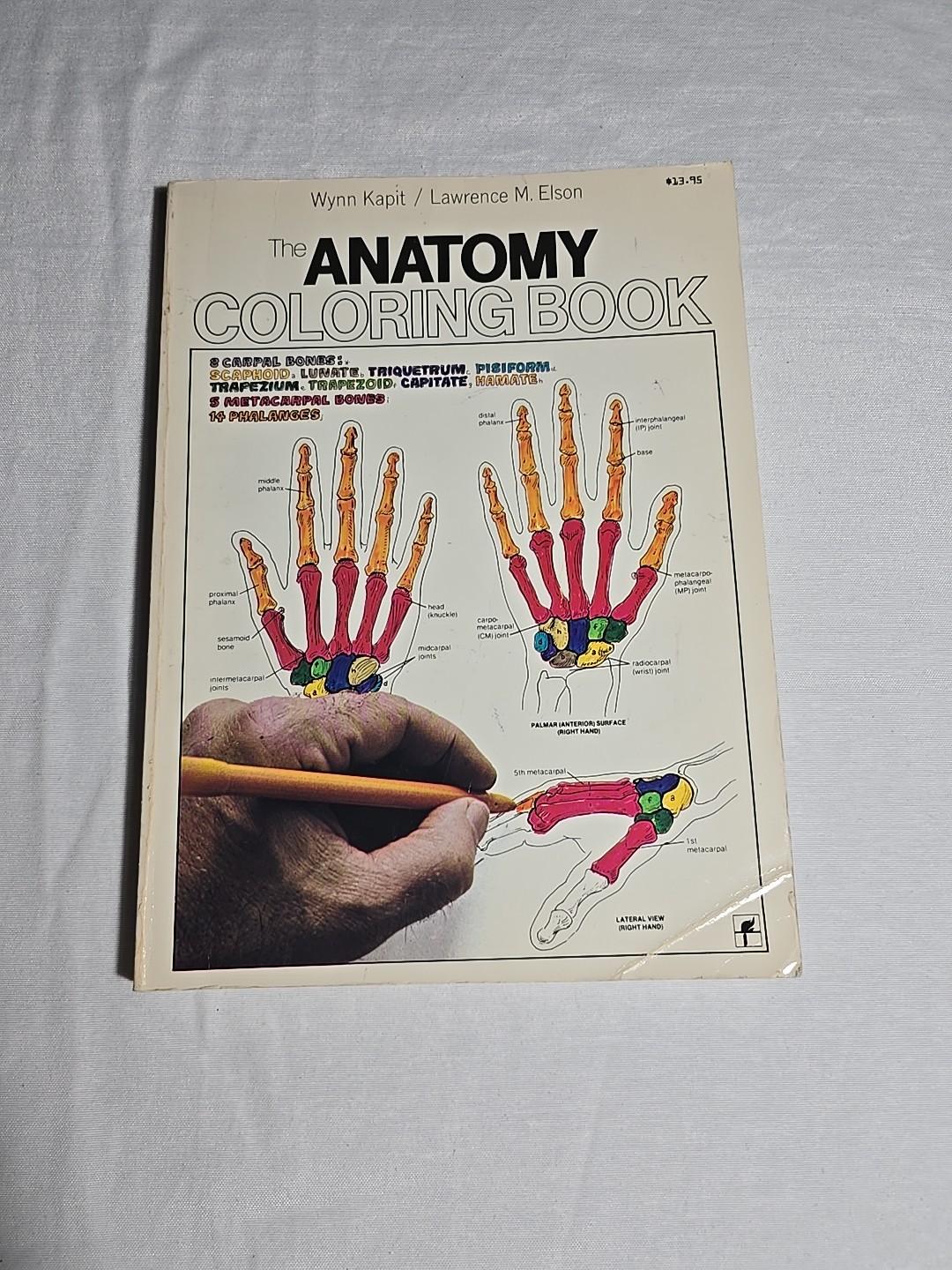 Anatomy Coloring Book 1977 Vintage Wynn Kapit Elson Science Practice Clean Pages