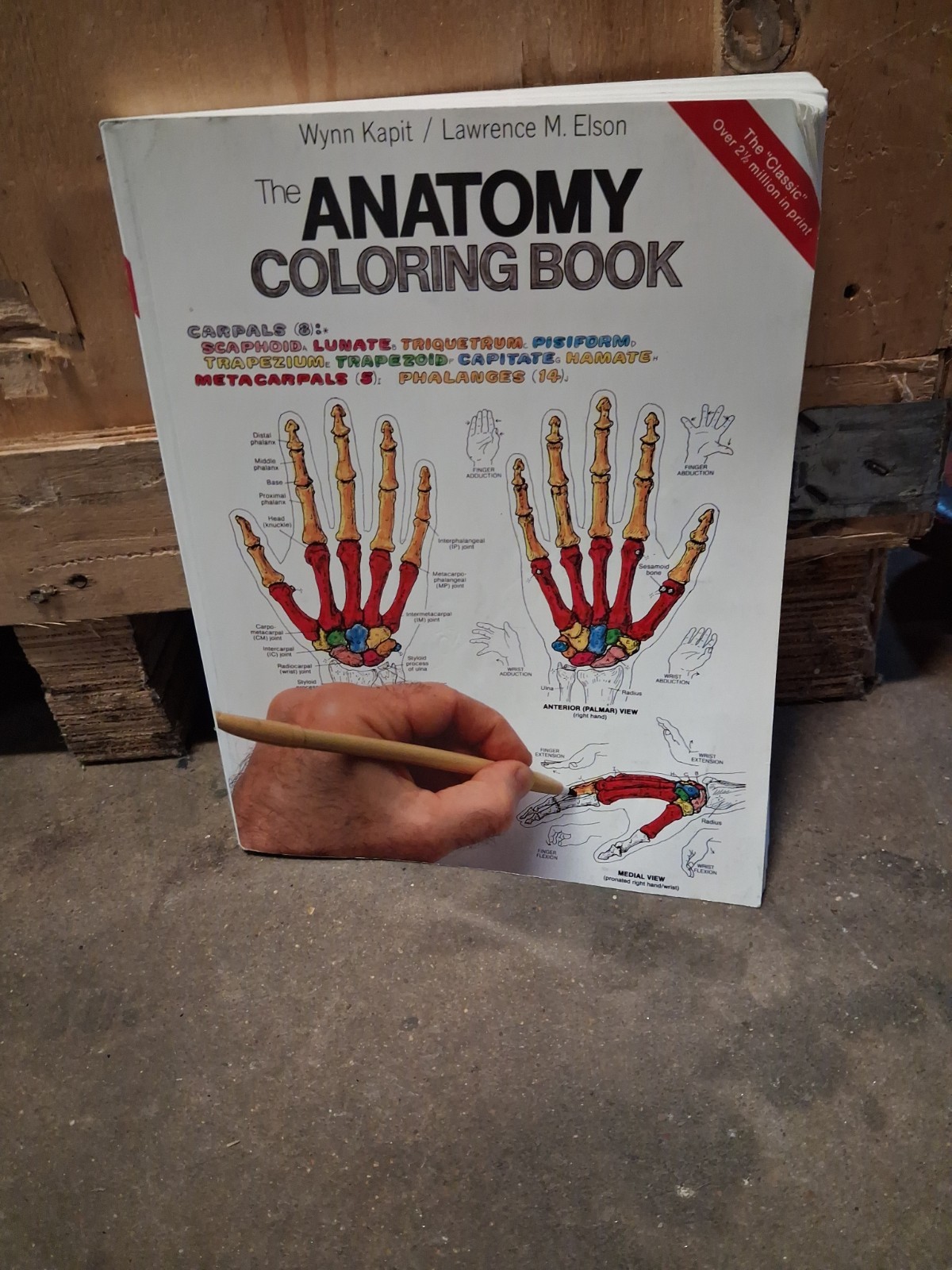 Anatomy : Coloring Book by Wynn Kapit and Lawrence M. Elson (1997, Trade…