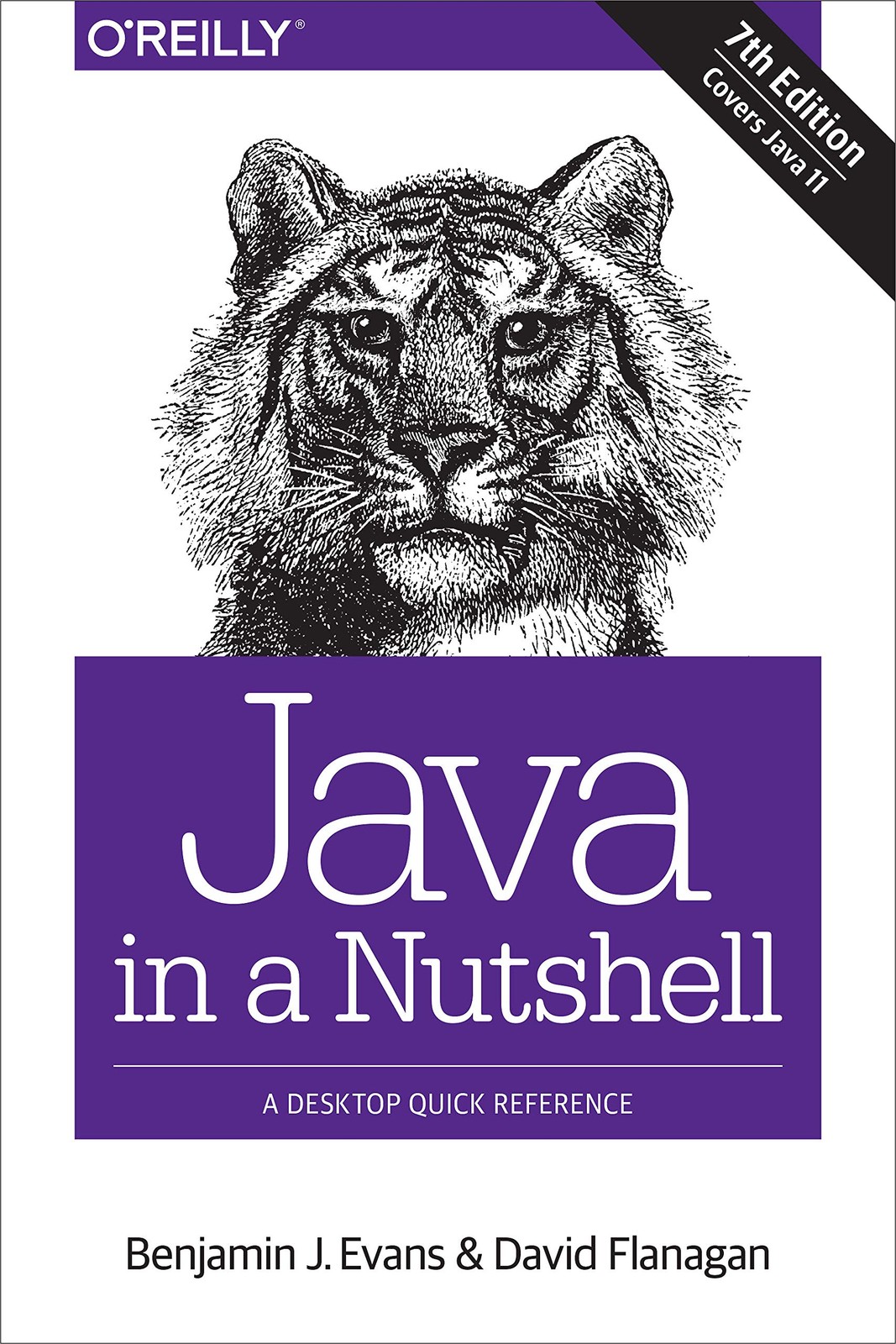 Java in a Nutshell: A Desktop Quick Reference