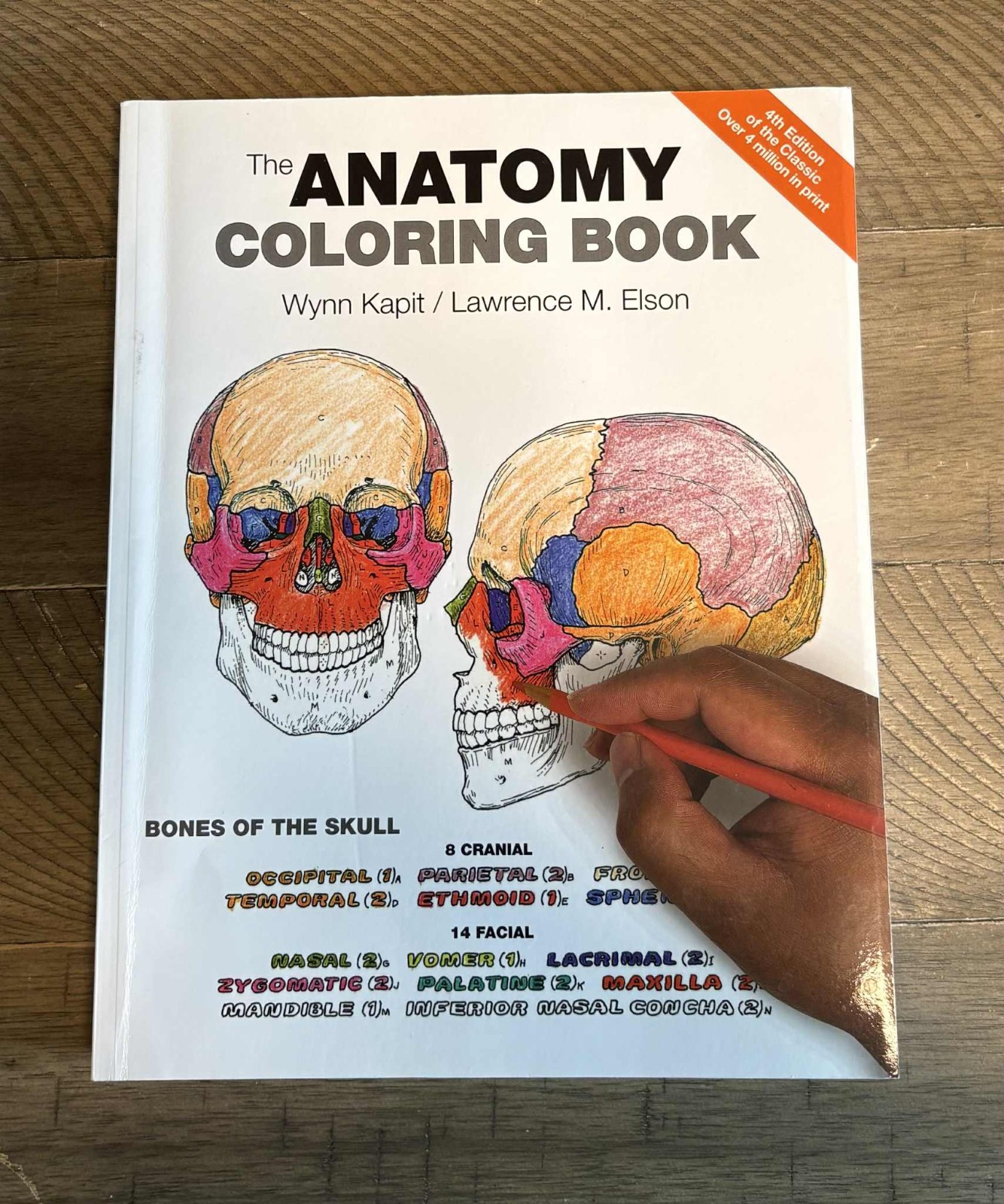 Anatomy Coloring Book by Wynn Kapit and Lawrence Elson (2013, Trade Paperback)