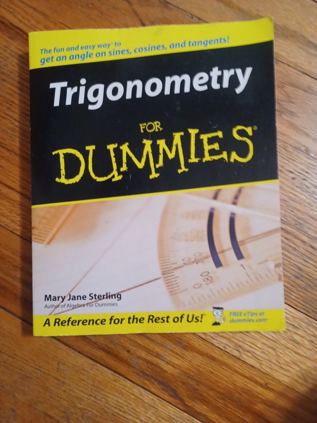 Trigonometry for Dummies by Mary Jane Sterling