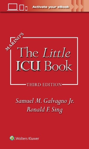 Samuel M. Galvagno PAUL L. MARINO Rona Marino’s The Lit (Paperback) (UK IMPORT)