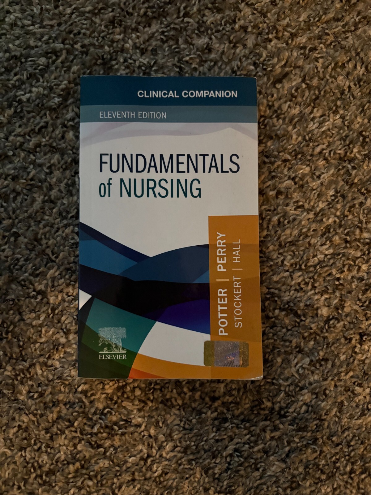 Clinical Companion for Fundamentals of Nursing by Patricia A. Stockert, Patricia