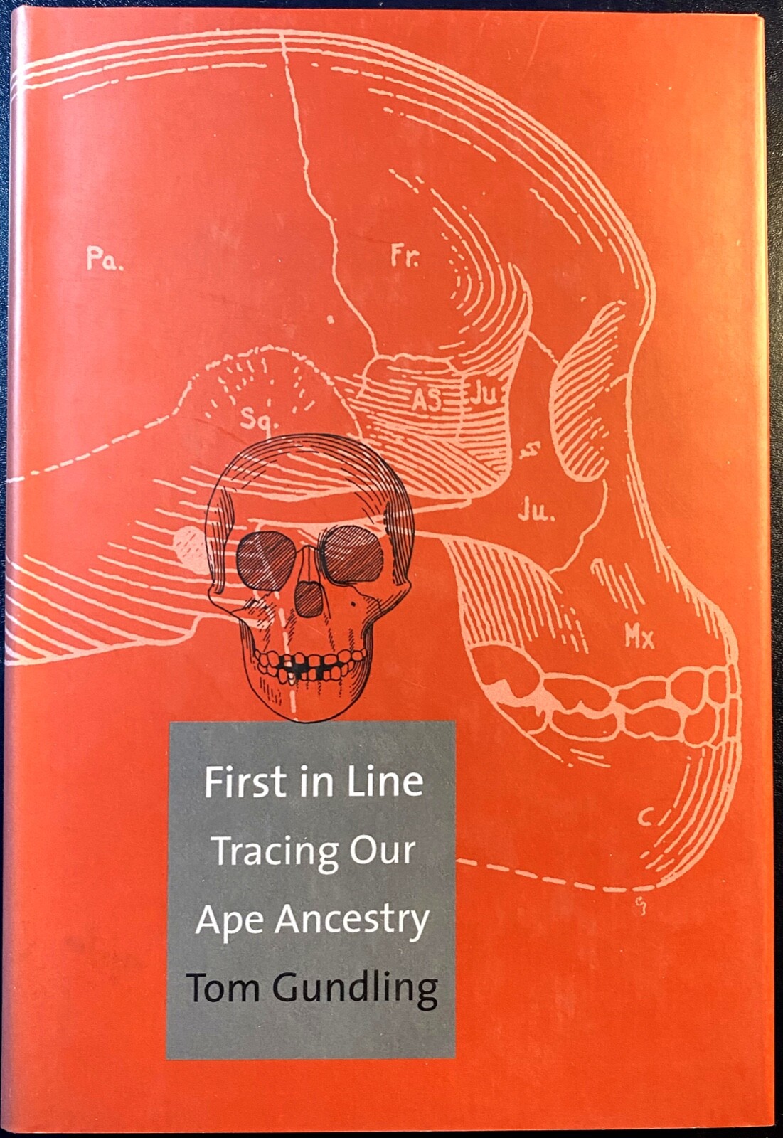 GUNDLING: First in Line: Tracing Our Ape Ancestry (Yale University Press, 2005)